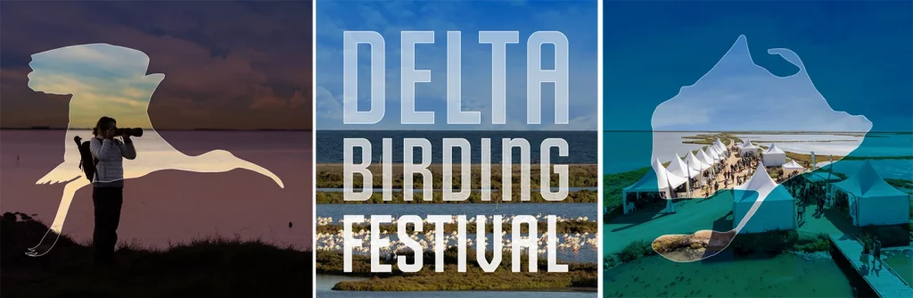 Delta Birding Festival: Full guide for bird lovers