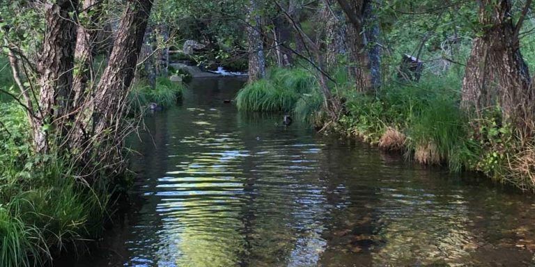 Arroyo-Malvecino-768x384