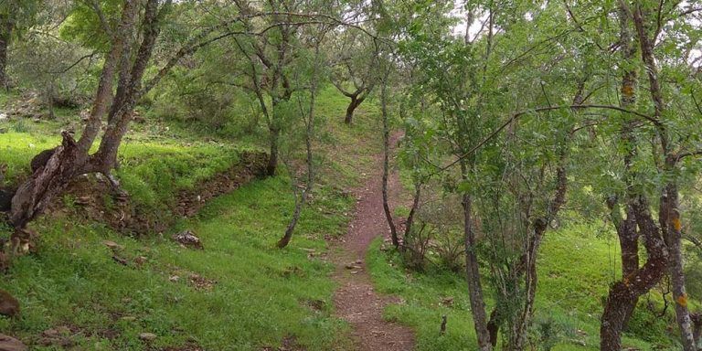 Fresnos-Monfrague-768x384