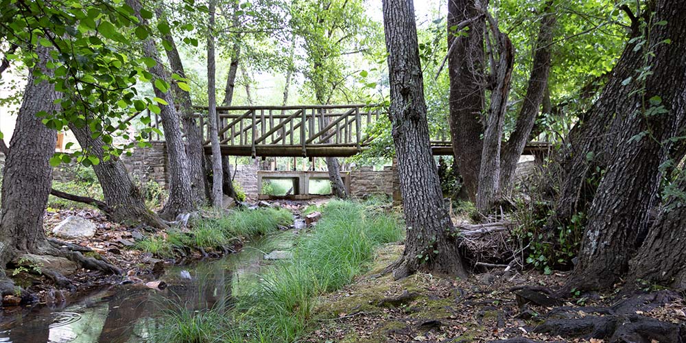 Puente-Madera-Monfrague
