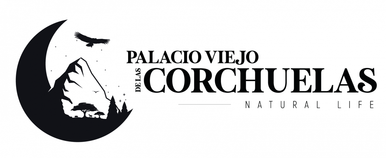 Palacio Viejo de Las Corchuelas