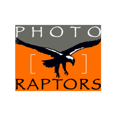 raptors400